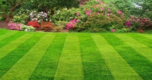 Entreprise de jardinage à rabat maroc