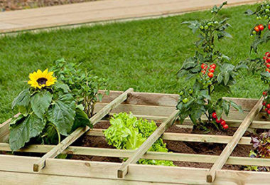 Entretien Jardin Rabat : 10 Conseils d'Expert