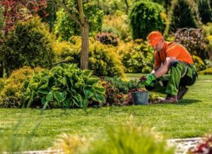 Prix Jardinage Rabat Tarifs et Devis 2025