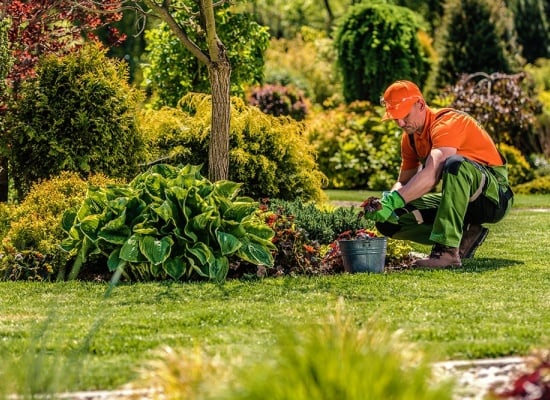 Prix Jardinage Rabat Tarifs et Devis 2025