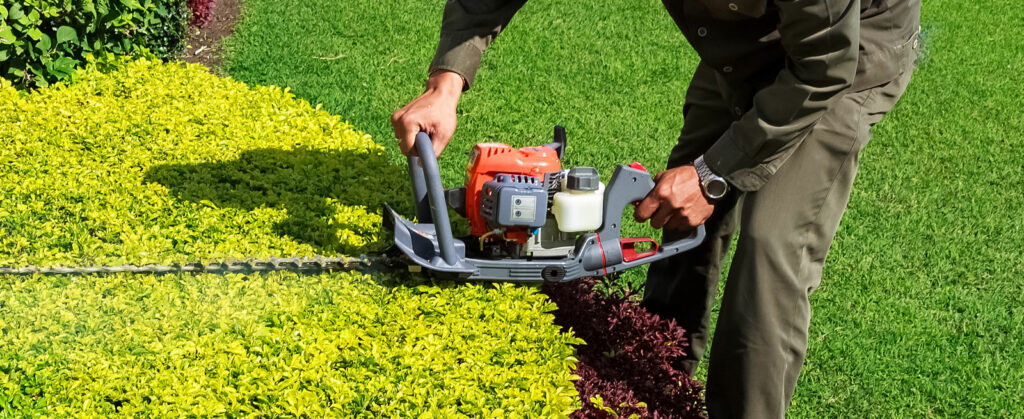Services de jardinage à Rabat Maroc