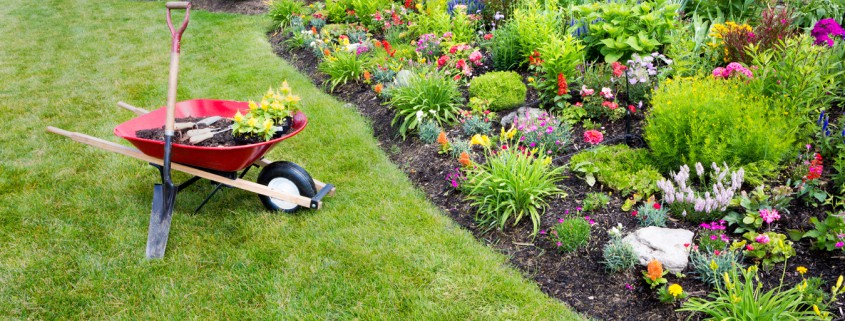 Société de jardinage à Rabat Maroc