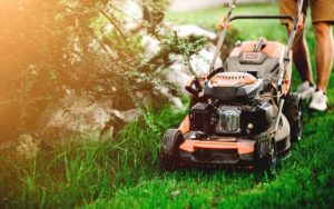 L'entretien de votre jardin à Rabat le calendrier des travaux à effectuer saison par saison