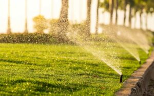 Système d'Arrosage Automatique à Rabat Économisez l'Eau et Gardez vos Plantes en Bonne Santé