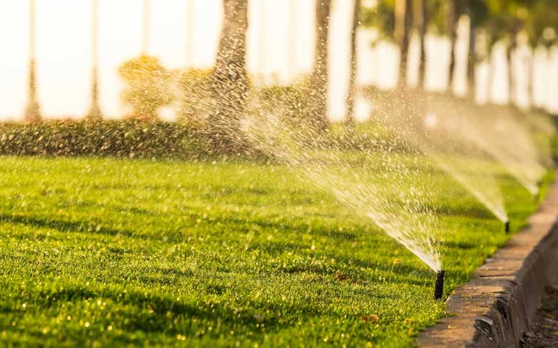 Système d'Arrosage Automatique à Rabat Économisez l'Eau et Gardez vos Plantes en Bonne Santé
