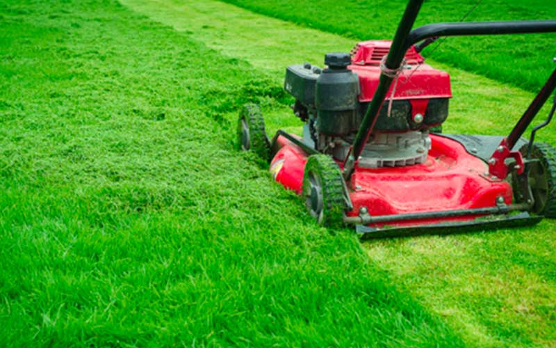 خدمات صيانة حدائق الرباط