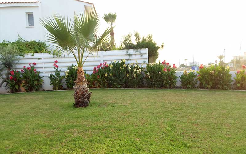 Devis de jardinage en ligne à Rabat