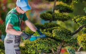 Tarif jardinage à Rabat