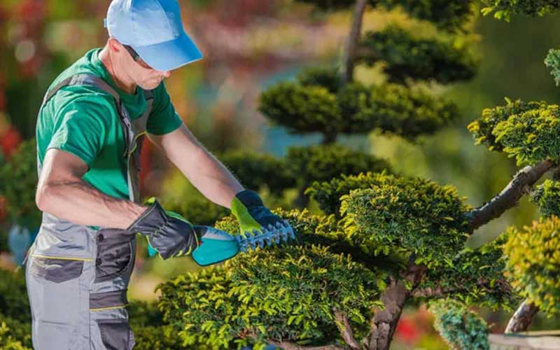 Tarif jardinage à Rabat