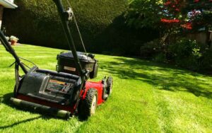 Contrat entretien jardin annuel prix à Rabat