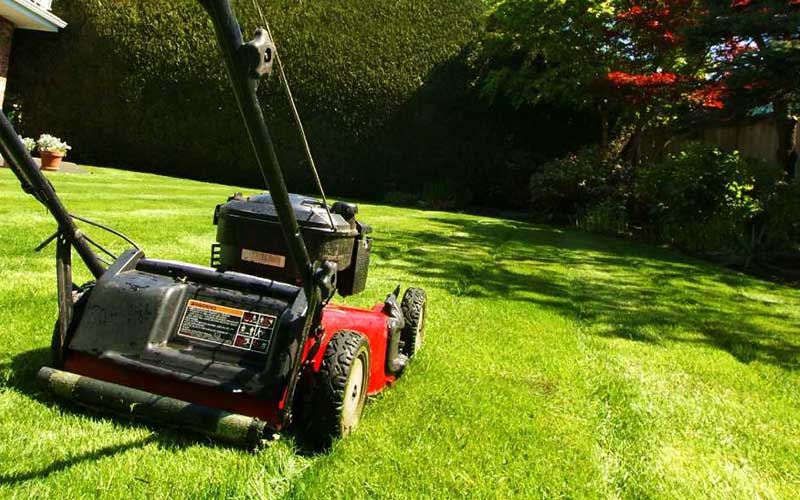 Contrat entretien jardin annuel prix à Rabat