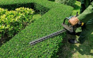 Société de jardinage à Rabat